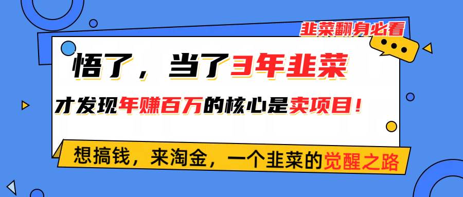 悟了，当了3年韭菜，才发现网赚圈年赚100万的核心是卖项目，含泪分享！娅氪网创资源-网创项目资源站-副业项目-创业项目-搞钱项目娅氪网创资源