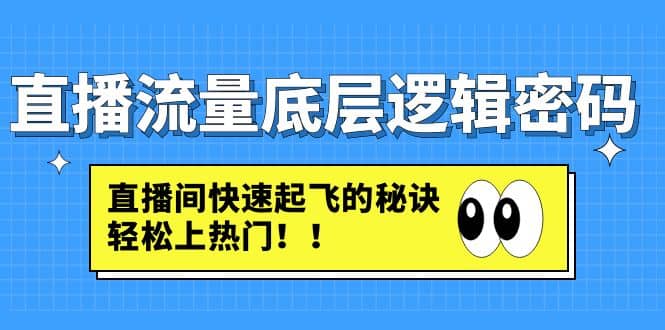 直播流量底层逻辑密码:直播间快速起飞的秘诀,轻松上热门娅氪网创资源-网创项目资源站-副业项目-创业项目-搞钱项目娅氪网创资源