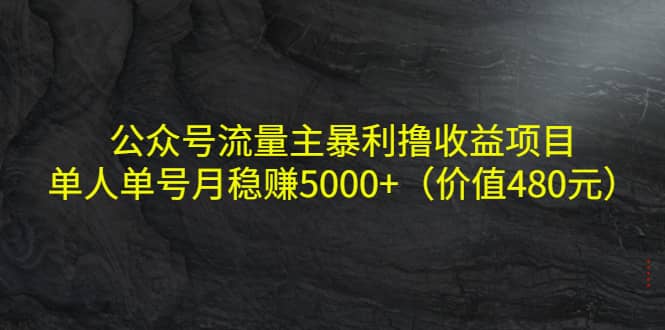 公众号流量主暴利撸收益项目，单人单号月稳赚5000+（价值480元）娅氪网创资源-网创项目资源站-副业项目-创业项目-搞钱项目娅氪网创资源