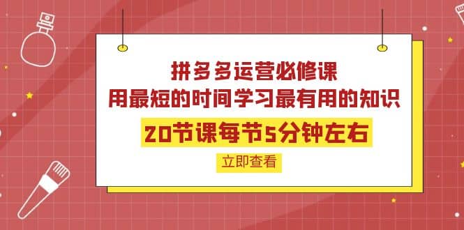 拼多多运营必修课：20节课每节5分钟左右，用最短的时间学习最有用的知识娅氪网创资源-网创项目资源站-副业项目-创业项目-搞钱项目娅氪网创资源