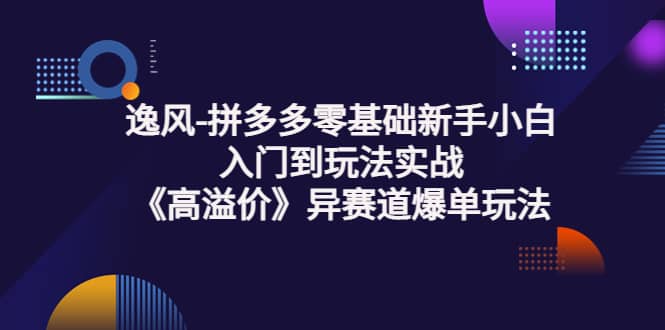 拼多多零基础新手小白入门到玩法实战《高溢价》异赛道爆单玩法实操课娅氪网创资源-网创项目资源站-副业项目-创业项目-搞钱项目娅氪网创资源