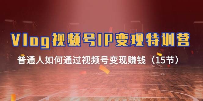 Vlog 视频号IP变现特训营，普通人如何通过视频号变现赚钱（15节）娅氪网创资源-网创项目资源站-副业项目-创业项目-搞钱项目娅氪网创资源