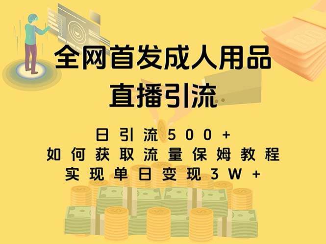 最新全网独创首发，成人用品直播引流获客暴力玩法，单日变现3w保姆级教程娅氪网创资源-网创项目资源站-副业项目-创业项目-搞钱项目娅氪网创资源