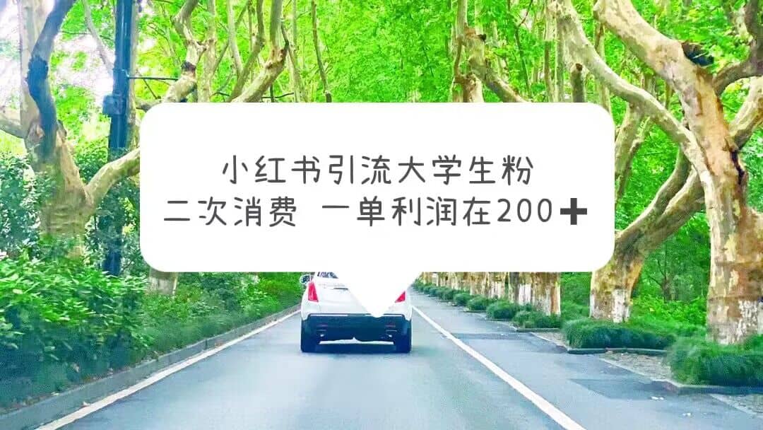 小红书引流大学生粉，变现项目，一单利润在200+（教程+资源）娅氪网创资源-网创项目资源站-副业项目-创业项目-搞钱项目娅氪网创资源