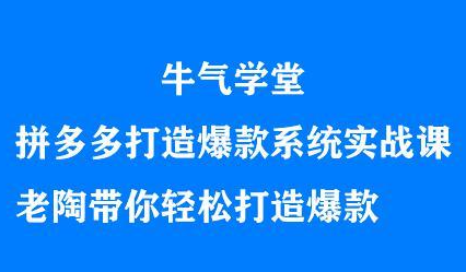 牛气学堂拼多多打造爆款系统实战课,老陶带你轻松打造爆款娅氪网创资源-网创项目资源站-副业项目-创业项目-搞钱项目娅氪网创资源