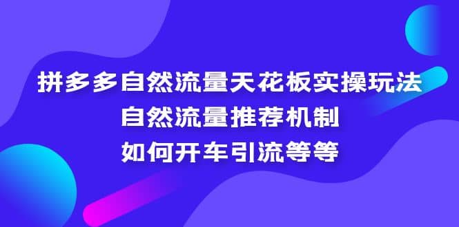 拼多多自然流量天花板实操玩法：自然流量推荐机制，如何开车引流等等娅氪网创资源-网创项目资源站-副业项目-创业项目-搞钱项目娅氪网创资源