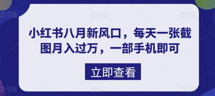八月新风口，小红书虚拟项目一天收入1000+，实战揭秘娅氪网创资源-网创项目资源站-副业项目-创业项目-搞钱项目娅氪网创资源