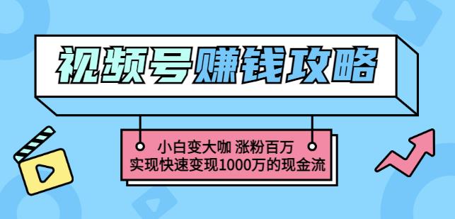 玩转微信视频号赚钱：小白变大咖涨粉百万实现快速变现1000万的现金流娅氪网创资源-网创项目资源站-副业项目-创业项目-搞钱项目娅氪网创资源