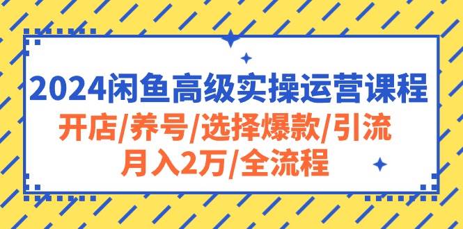 2024闲鱼高级实操运营课程:开店/养号/选择爆款/引流/月入2万/全流程网创吧-网创项目资源站-副业项目-创业项目-搞钱项目网创吧