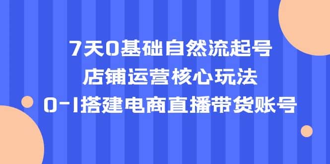 7天0基础自然流起号，店铺运营核心玩法，0-1搭建电商直播带货账号娅氪网创资源-网创项目资源站-副业项目-创业项目-搞钱项目娅氪网创资源