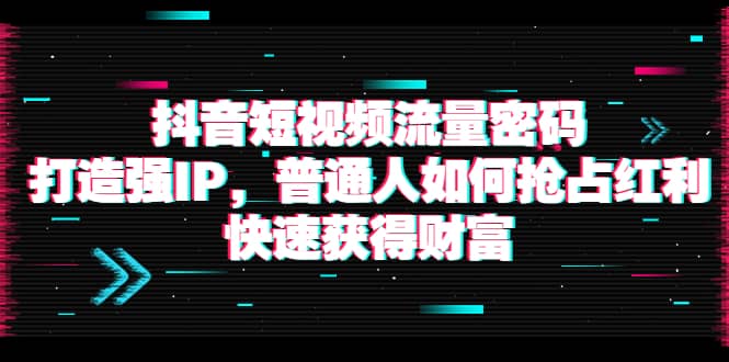 抖音短视频流量密码：打造强IP，普通人如何抢占红利，快速获得财富娅氪网创资源-网创项目资源站-副业项目-创业项目-搞钱项目娅氪网创资源