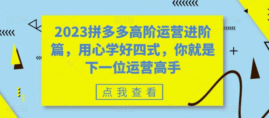 2023拼多多高阶运营进阶篇，用心学好四式，你就是下一位运营高手娅氪网创资源-网创项目资源站-副业项目-创业项目-搞钱项目娅氪网创资源
