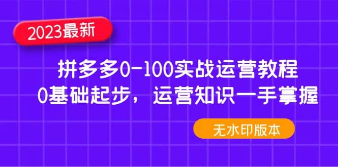 2023拼多多0-100实战运营教程,0基础起步,运营知识一手掌握(无水印)娅氪网创资源-网创项目资源站-副业项目-创业项目-搞钱项目娅氪网创资源