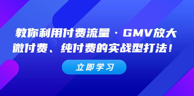 教你利用付费流量·GMV放大,微付费、纯付费的实战型打法娅氪网创资源-网创项目资源站-副业项目-创业项目-搞钱项目娅氪网创资源