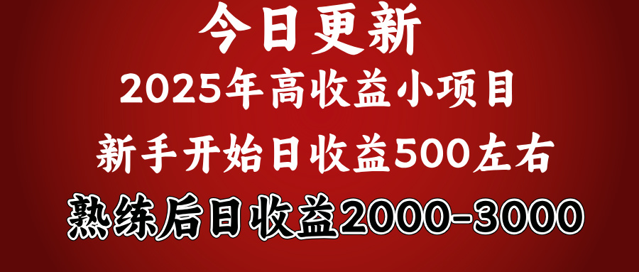 2025开年好项目，新手日收益500+ 熟练掌握后，日收益平均2000多娅氪网创资源-网创项目资源站-副业项目-创业项目-搞钱项目娅氪网创资源