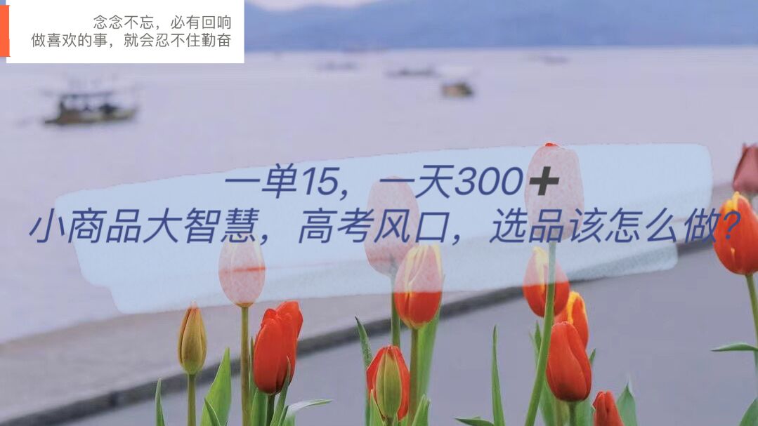 一单15，一天300+，小商品大智慧，高考风口，选品该怎么布局娅氪网创资源-网创项目资源站-副业项目-创业项目-搞钱项目娅氪网创资源