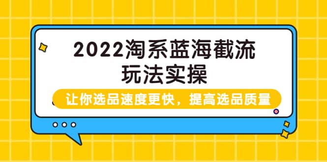 2022淘系蓝海截流玩法实操:让你选品速度更快,提高选品质量(价值599)网创吧-网创项目资源站-副业项目-创业项目-搞钱项目网创吧
