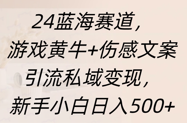 24蓝海赛道,游戏黄牛+伤感文案引流私域变现,新手日入500+娅氪网创资源-网创项目资源站-副业项目-创业项目-搞钱项目娅氪网创资源