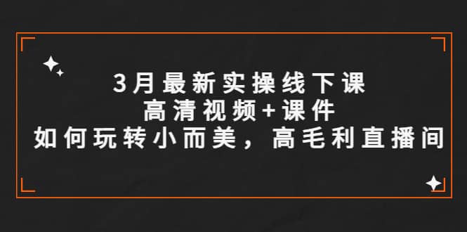 3月最新实操线下课高清视频+课件,如何玩转小而美,高毛利直播间娅氪网创资源-网创项目资源站-副业项目-创业项目-搞钱项目娅氪网创资源