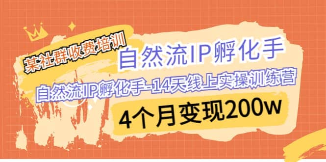 某社群收费培训：自然流IP 孵化手-14天线上实操训练营 4个月变现200w娅氪网创资源-网创项目资源站-副业项目-创业项目-搞钱项目娅氪网创资源