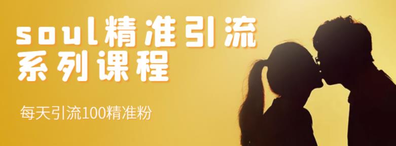 soul精准引流系列课程，每天引流100精准粉娅氪网创资源-网创项目资源站-副业项目-创业项目-搞钱项目娅氪网创资源