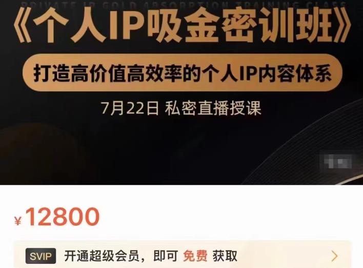 个人IP吸金密训班，打造高价值高效率的个人IP内容体系（价值12800元）娅氪网创资源-网创项目资源站-副业项目-创业项目-搞钱项目娅氪网创资源