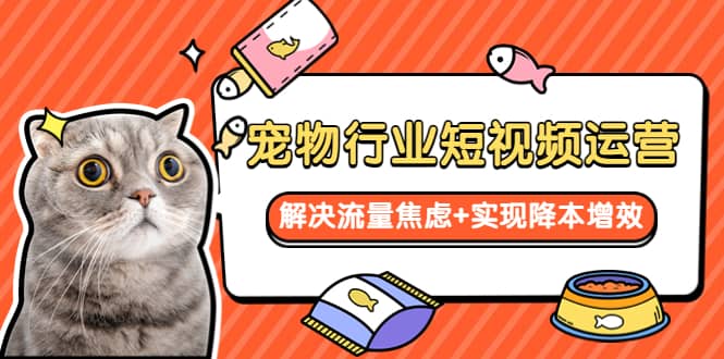 宠物/行业短视频运营 流量增长的一层窗户纸 解决流量焦虑+实现降本增效娅氪网创资源-网创项目资源站-副业项目-创业项目-搞钱项目娅氪网创资源