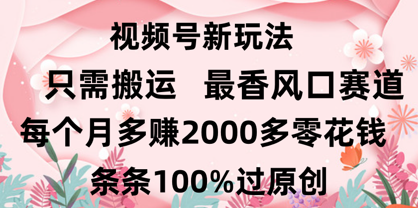 日入2000+,条条100%过原创,视频号最香风口赛道,小白轻松上手娅氪网创资源-网创项目资源站-副业项目-创业项目-搞钱项目娅氪网创资源