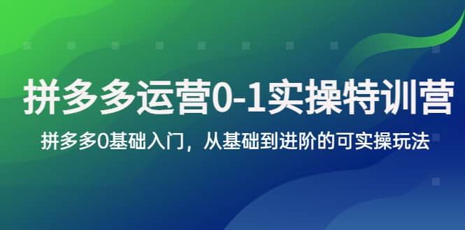 拼多多-运营0-1实操训练营，拼多多0基础入门，从基础到进阶的可实操玩法娅氪网创资源-网创项目资源站-副业项目-创业项目-搞钱项目娅氪网创资源