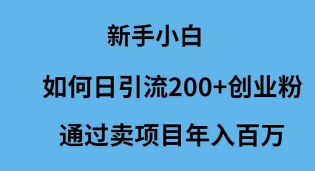 新手小白如何日引流200+创业粉通过卖项目年入百万娅氪网创资源-网创项目资源站-副业项目-创业项目-搞钱项目娅氪网创资源