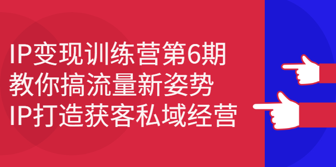 IP变现训练营第6期：教你搞流量新姿势，IP打造获客私域经营娅氪网创资源-网创项目资源站-副业项目-创业项目-搞钱项目娅氪网创资源