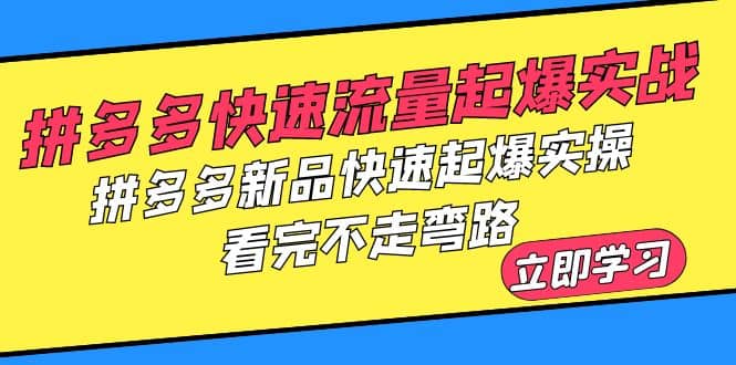 拼多多-快速流量起爆实战，拼多多新品快速起爆实操，看完不走弯路娅氪网创资源-网创项目资源站-副业项目-创业项目-搞钱项目娅氪网创资源