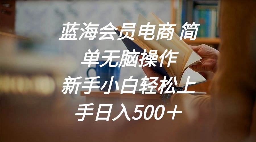 蓝海会员电商 简单无脑操作 新手小白轻松上手日入500+网创吧-网创项目资源站-副业项目-创业项目-搞钱项目网创吧