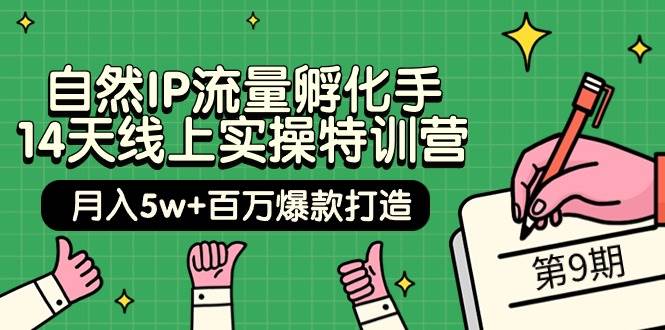 自然IP流量孵化手 14天线上实操特训营【第9期】月入5w+百万爆款打造 (74节)娅氪网创资源-网创项目资源站-副业项目-创业项目-搞钱项目娅氪网创资源