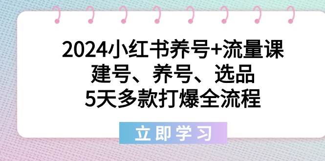 2024小红书养号+流量课:建号、养号、选品,5天多款打爆全流程娅氪网创资源-网创项目资源站-副业项目-创业项目-搞钱项目娅氪网创资源